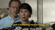 news hong kong carrie lam claudia mo GIF