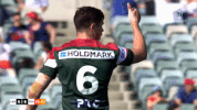 rugby league rlwc GIF by NRL