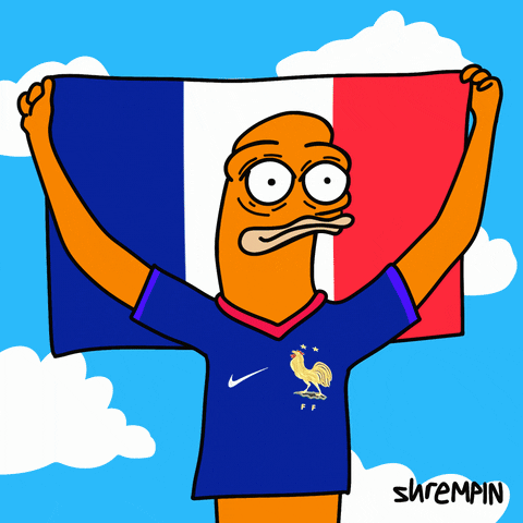 France Football GIF by shremps