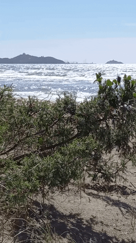 Simongip giphyupload GIF