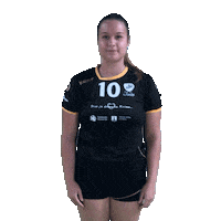 Team Handball Sticker by RK Krim