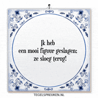 Humor Nl GIF by Tegelspreuken.nl
