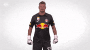 Happy Red Bull GIF by FC Red Bull Salzburg