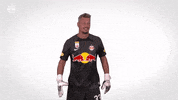 Red Bull Sport GIF by FC Red Bull Salzburg