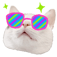 Happy Cool Cat Sticker