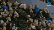 Celebration Reaction GIF by MolaTV
