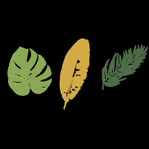 ashleyroseclothing giphygifmaker green leaves tropical GIF