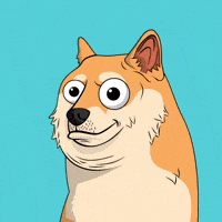 Shiba Inu Wow GIF by Doge Pound
