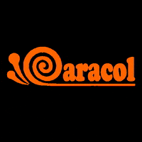 Caracolsorvetenachapa GIF by Caracol