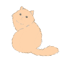 Cat No Sticker