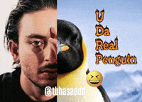 tbhasad penguin hasan raheem tbhasaddd dududuuuu GIF