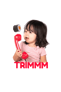 temakeriajapesca sushi temaki comidajaponesa japesca Sticker