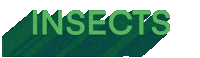 Text Zoom In Sticker