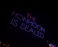 Lollapalooza Takedown GIF