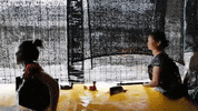 for91days travel theater arts ducks GIF