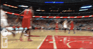 nba photos GIF by RedEye Chicago
