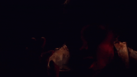 5sos GIF by 5 Seconds of Summer