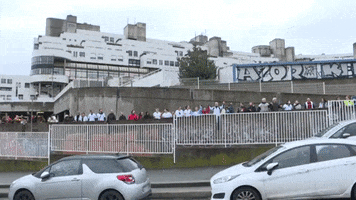 Human Chain GIF by euronews