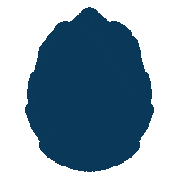 Destination Unknown Pinal Sticker by Buckled