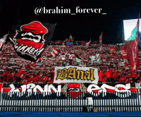 Winners Wins GIF