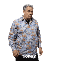 Oh No Wow Sticker by SWR3