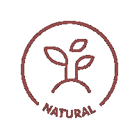 wearearbre sunscreen spf arbre dry shampoo Sticker