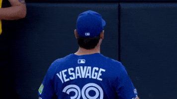Blue Jays Baseball GIF by Toronto Blue Jays