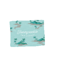 Envelope Happymail Sticker by Honeysuckle Swim Company