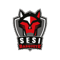 Basquete Sticker by Sesi Esporte