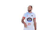 Liga Endesa Basketball Sticker by ACB