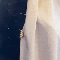 Wendy Wand GIF