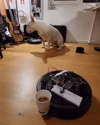 whatphilosophise giphyupload GIF