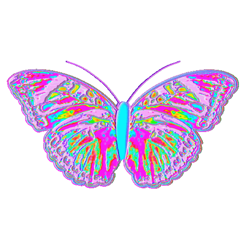 Color Fly Sticker