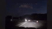 Moth Followthelight GIF