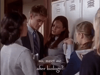 season 1 netflix GIF by Gilmore Girls 