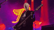 Live Music Bass GIF by PIXIES