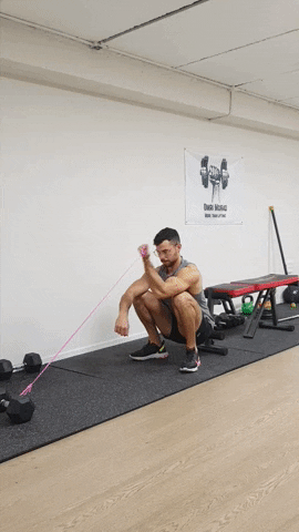 ONEBODY giphyupload homeworkout אימוןביתי גומייה GIF