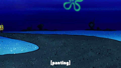 season 9 GIF by SpongeBob SquarePants