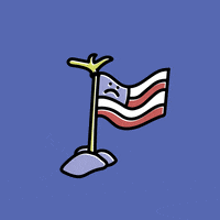 Sad Independence Day GIF by joelkirschenbaum