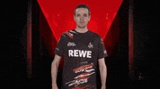 Looking Sk Gaming GIF by Bundesliga