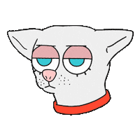 chrisguafflesmedioplato danna guaffles medioplato Sticker