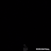 Kolkata Knight Riders Allen GIF