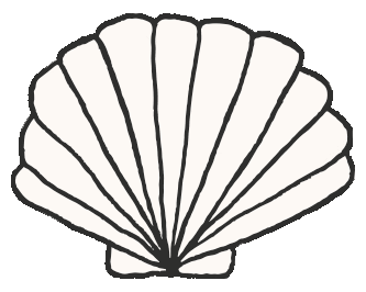 Shell Schelp Sticker by bydenize
