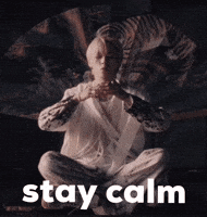Skz Stay Calm GIF