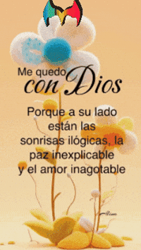 La Paz Amigos GIF by Murcianys LLC