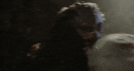 Halloween Bird GIF by Crypt TV