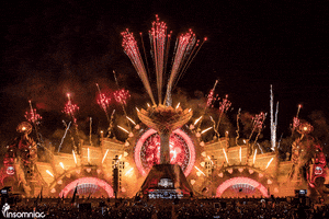 insomniacevents festival music festival edc pyro GIF