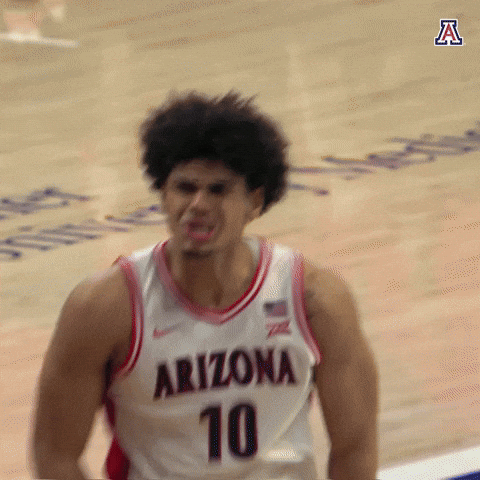 Come On Celebration GIF by Arizona Athletics