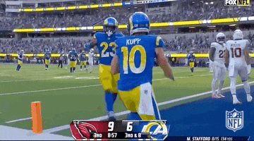National Football League GIF by NFL