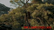 Jesus Swinging GIF by Magnolia Pictures